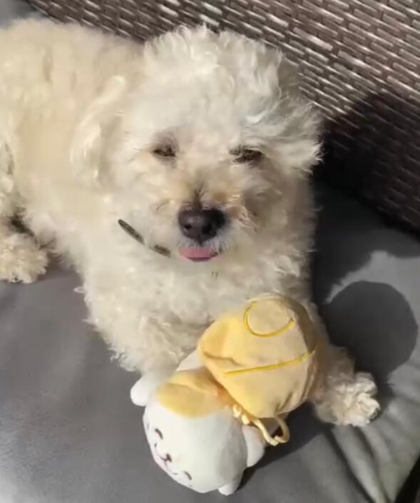 all art in this carrd was made by this artist!